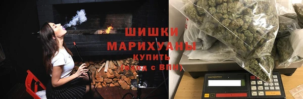 прущие грибы Лагань