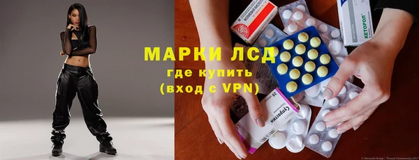 прущие грибы Лагань