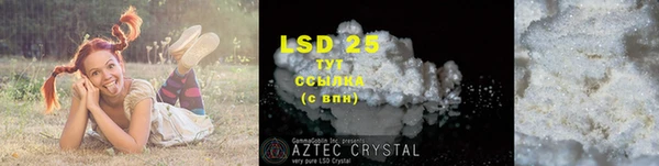 прущие грибы Лагань