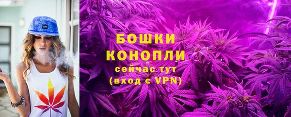 первитин Лабытнанги