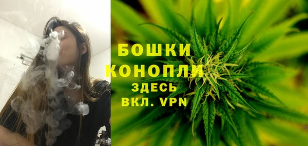 первитин Лабытнанги