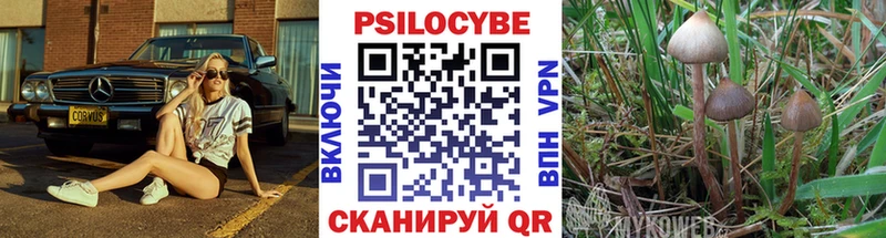 Галлюциногенные грибы GOLDEN TEACHER  закладка  Эртиль 