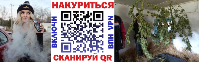 наркота  Эртиль  Конопля AK-47 